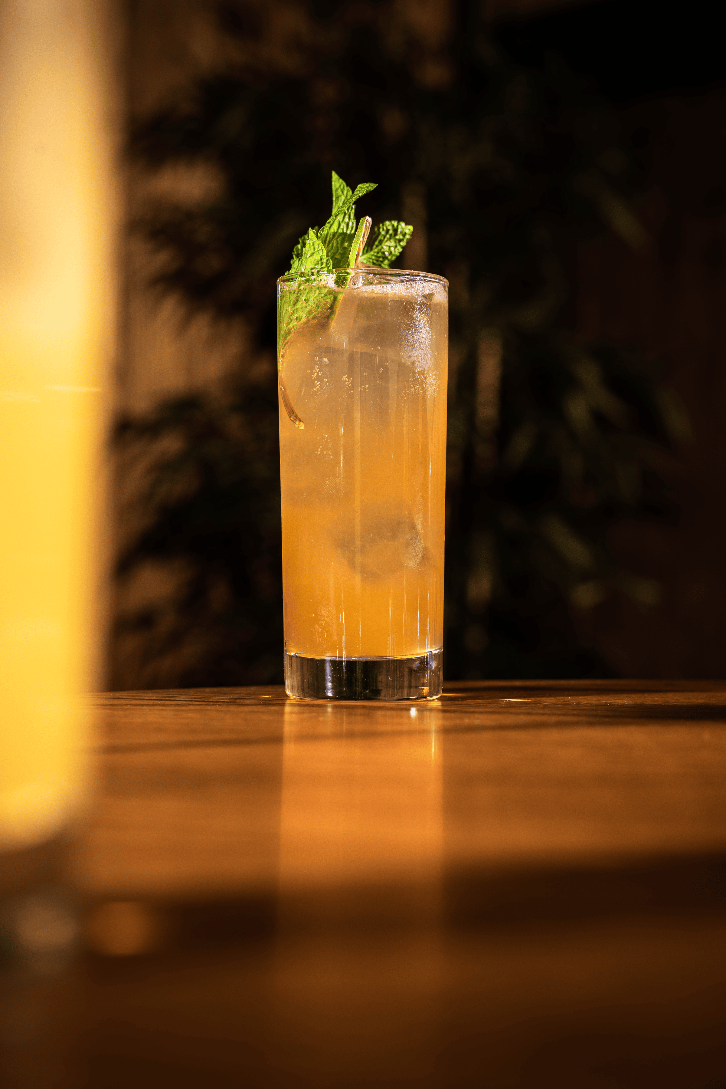 Website/Gallery: section:gallery, source:site - Dram SpringMenu
